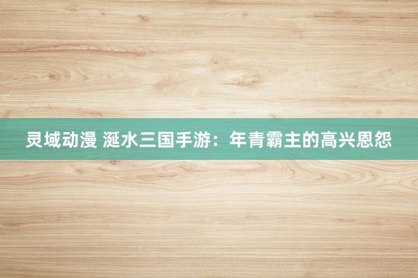 灵域动漫 涎水三国手游：年青霸主的高兴恩怨