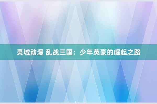 灵域动漫 乱战三国：少年英豪的崛起之路
