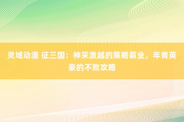 灵域动漫 征三国：神采激越的策略霸业，年青英豪的不败攻略