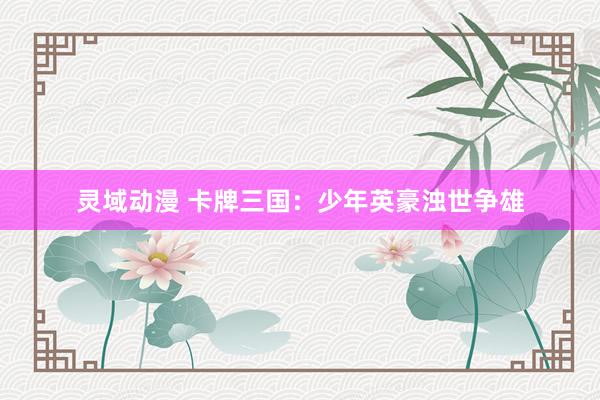 灵域动漫 卡牌三国：少年英豪浊世争雄