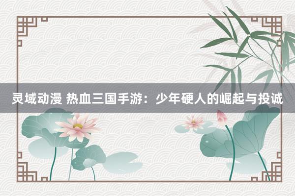 灵域动漫 热血三国手游：少年硬人的崛起与投诚