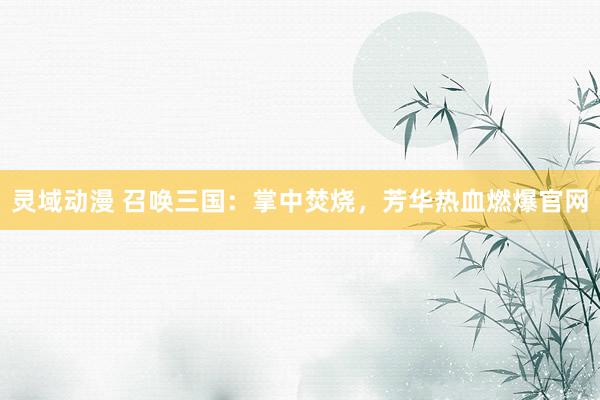 灵域动漫 召唤三国：掌中焚烧，芳华热血燃爆官网