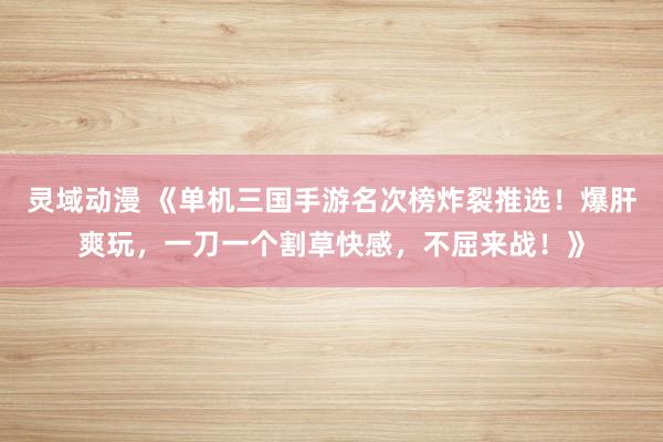 灵域动漫 《单机三国手游名次榜炸裂推选！爆肝爽玩，一刀一个割草快感，不屈来战！》