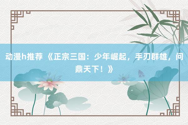 动漫h推荐 《正宗三国：少年崛起，手刃群雄，问鼎天下！》