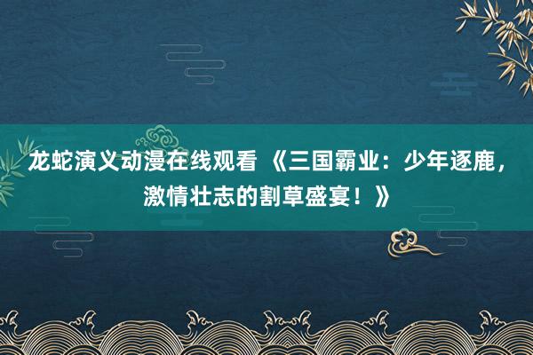 龙蛇演义动漫在线观看 《三国霸业：少年逐鹿，激情壮志的割草盛宴！》