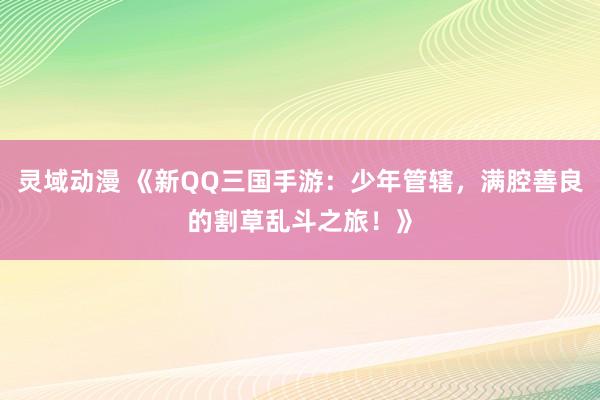 灵域动漫 《新QQ三国手游：少年管辖，满腔善良的割草乱斗之旅！》