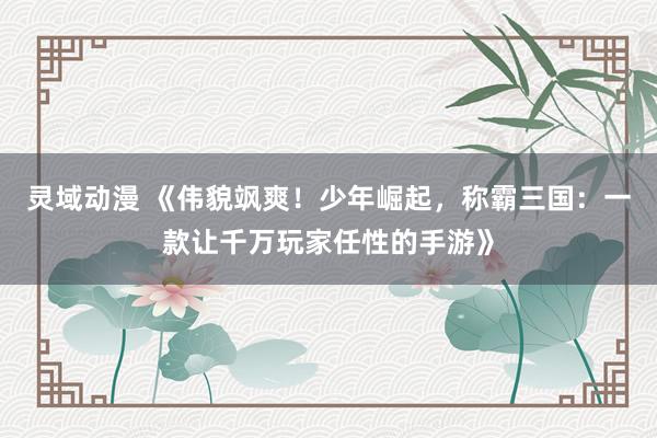 灵域动漫 《伟貌飒爽！少年崛起，称霸三国：一款让千万玩家任性的手游》