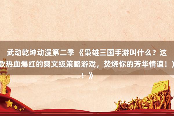 武动乾坤动漫第二季 《枭雄三国手游叫什么？这款热血爆红的爽文级策略游戏，焚烧你的芳华情谊！》