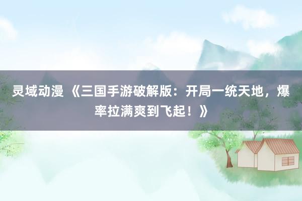 灵域动漫 《三国手游破解版：开局一统天地，爆率拉满爽到飞起！》